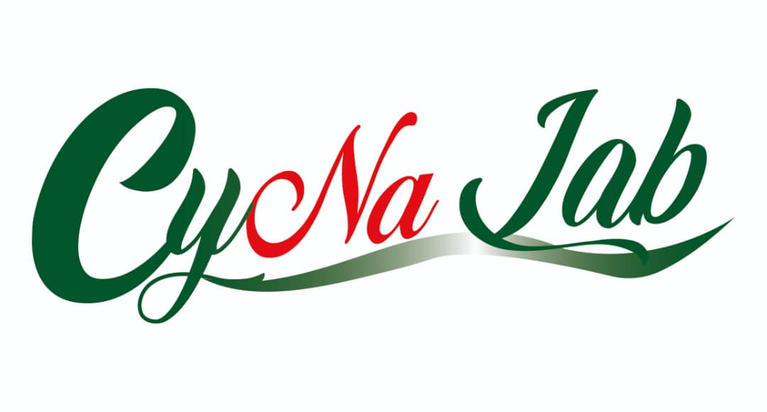 Logo CyNaLab